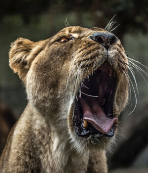 How To Use Basic Design Principles To Decorate Your Home